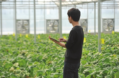 振興鄉(xiāng)村 國(guó)家發(fā)改委點(diǎn)贊貴州農(nóng)業(yè)云、廣東農(nóng)村超高速無(wú)線局域網(wǎng)