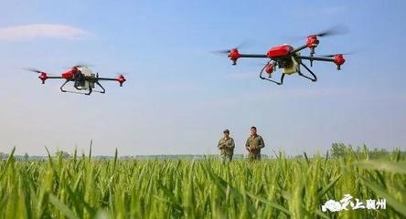 農(nóng)業(yè)現(xiàn)代化插上科技的翅膀 襄州區(qū)入選全國(guó)農(nóng)業(yè)科技現(xiàn)代化先行縣