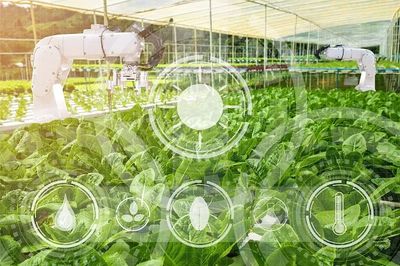 農(nóng)業(yè)科技社會化服務體系建設如何加強?七部門發(fā)文部署