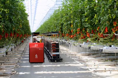 江蘇綠港-蒙城興農(nóng)綠港現(xiàn)代農(nóng)業(yè)科技產(chǎn)業(yè)園項(xiàng)目正式開(kāi)工