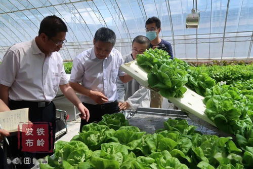 新華社遼寧分社采訪組來我市采訪 三農 工作