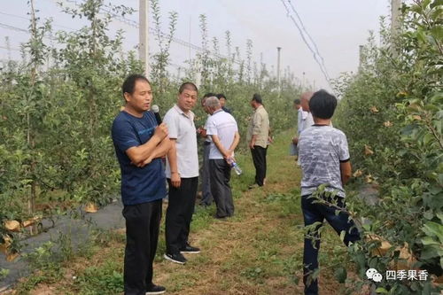 白水縣四季香農(nóng)業(yè)科技服務(wù)公司肥水一體化推廣及中農(nóng)液體肥示范園觀摩活動(dòng)圓滿成功