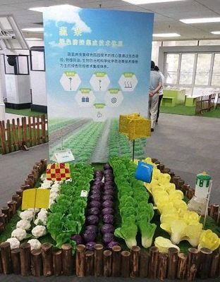 E企秀丨江財總裁25班李任明同學企業--億發姆農業發展