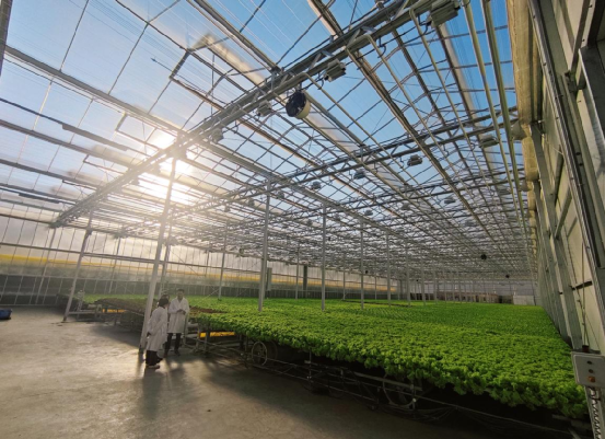 科技小院迎來首場賽事,力促農研技術落地服務鄉村振興落地服務鄉村振興