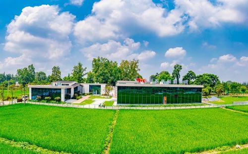 成都市溫江區(qū)高山村 科技綠動田野 和美鄉(xiāng)村繪新篇