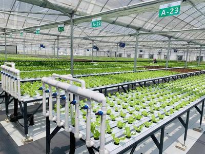 補貼上百萬!數字農業工廠:智能化、自動化的農業生產新模式