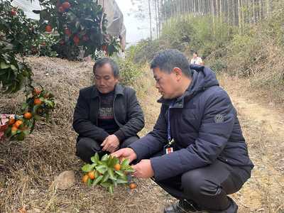 永?？h:迎春雨備春耕促春管