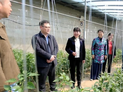 蚌埠市&ldquo;巾幗科技助農直通車&rdquo;開進五河縣朱頂鎮(zhèn)