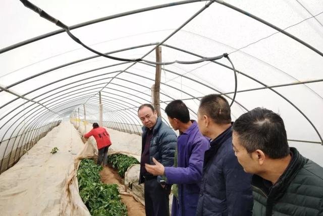 鄉(xiāng)村振興