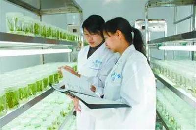 干貨!互聯(lián)網+農業(yè)的10大好處