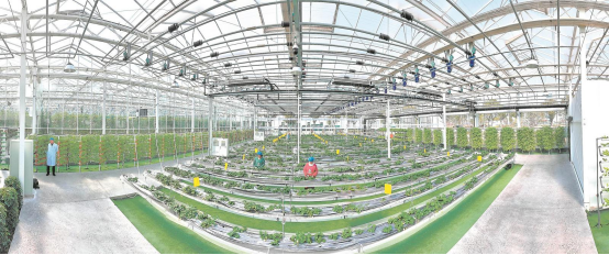 春耕里的&ldquo;科技范&rdquo;