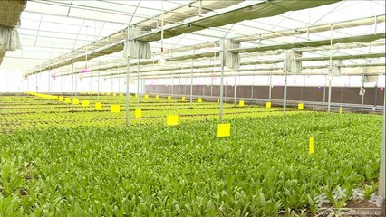 【我們這十年】科技創(chuàng)新助力秦州經濟高質量發(fā)展(圖)