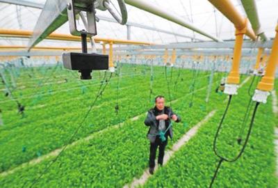 農業(yè)科技報-內容詳細