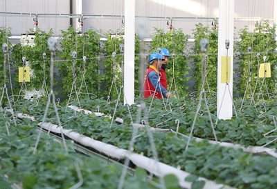 黨員服務隊員們上門走訪。閆蓓供圖