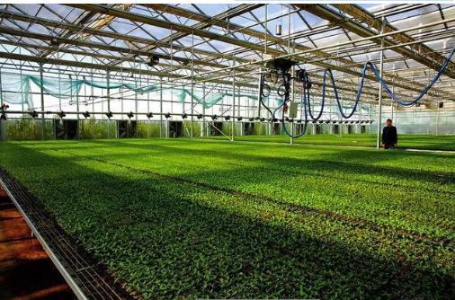 農(nóng)藥雙減技術,助力鄉(xiāng)村振興