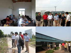 我院科研處與上海市農(nóng)業(yè)科技服務(wù)中心開展黨建雙結(jié)對活動，共促農(nóng)業(yè)科技服務(wù)發(fā)展