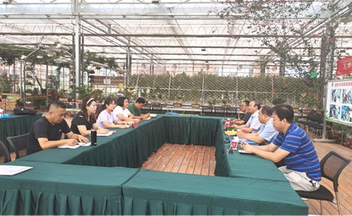 科技助殘促發(fā)展，專家指導助力農(nóng)業(yè)現(xiàn)代化——省殘疾人農(nóng)業(yè)科技指導中心開展現(xiàn)代農(nóng)業(yè)科技示范園專家指導活動